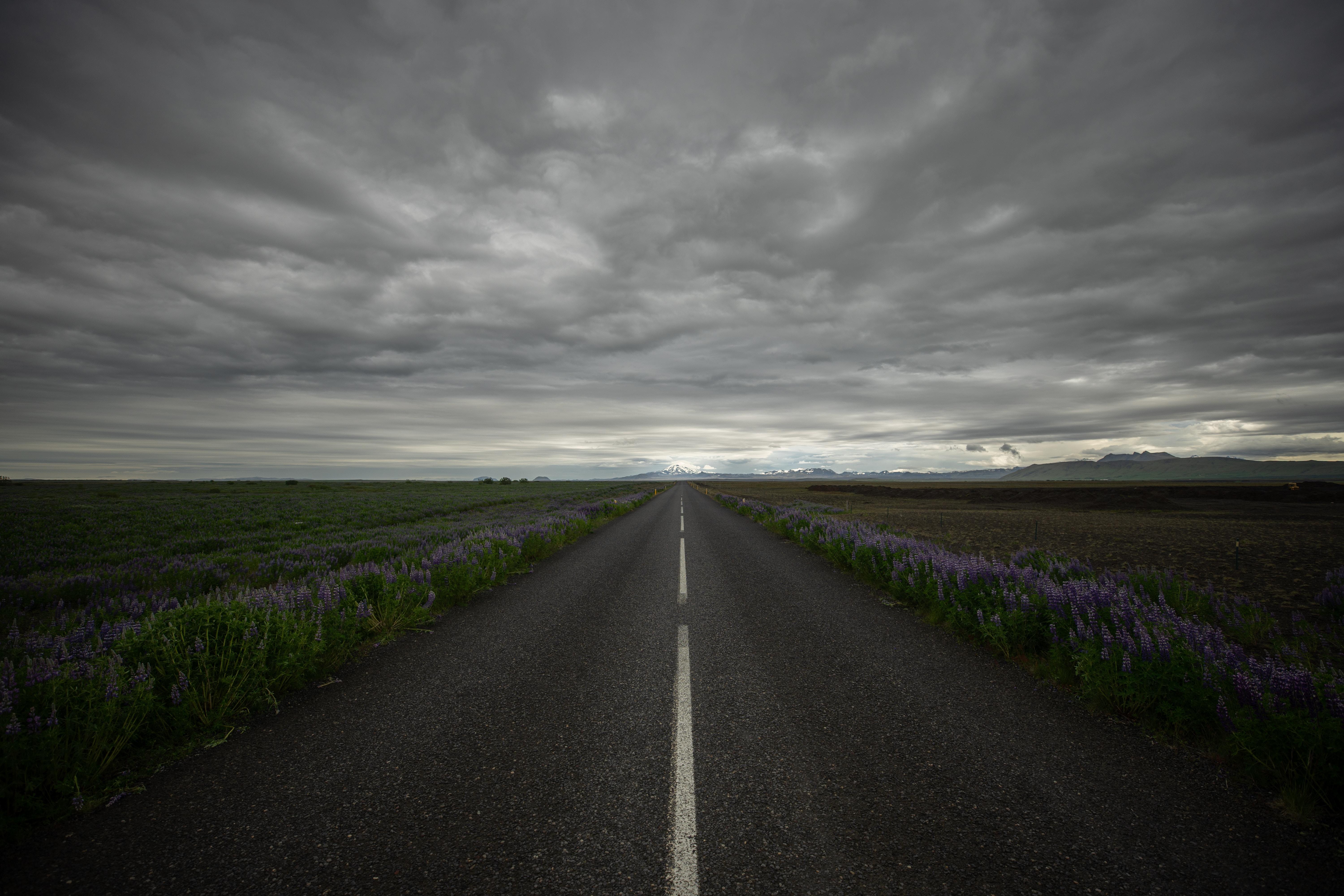 Cloud, Flower, Purple Flower, Road, Iceland wallpaper
