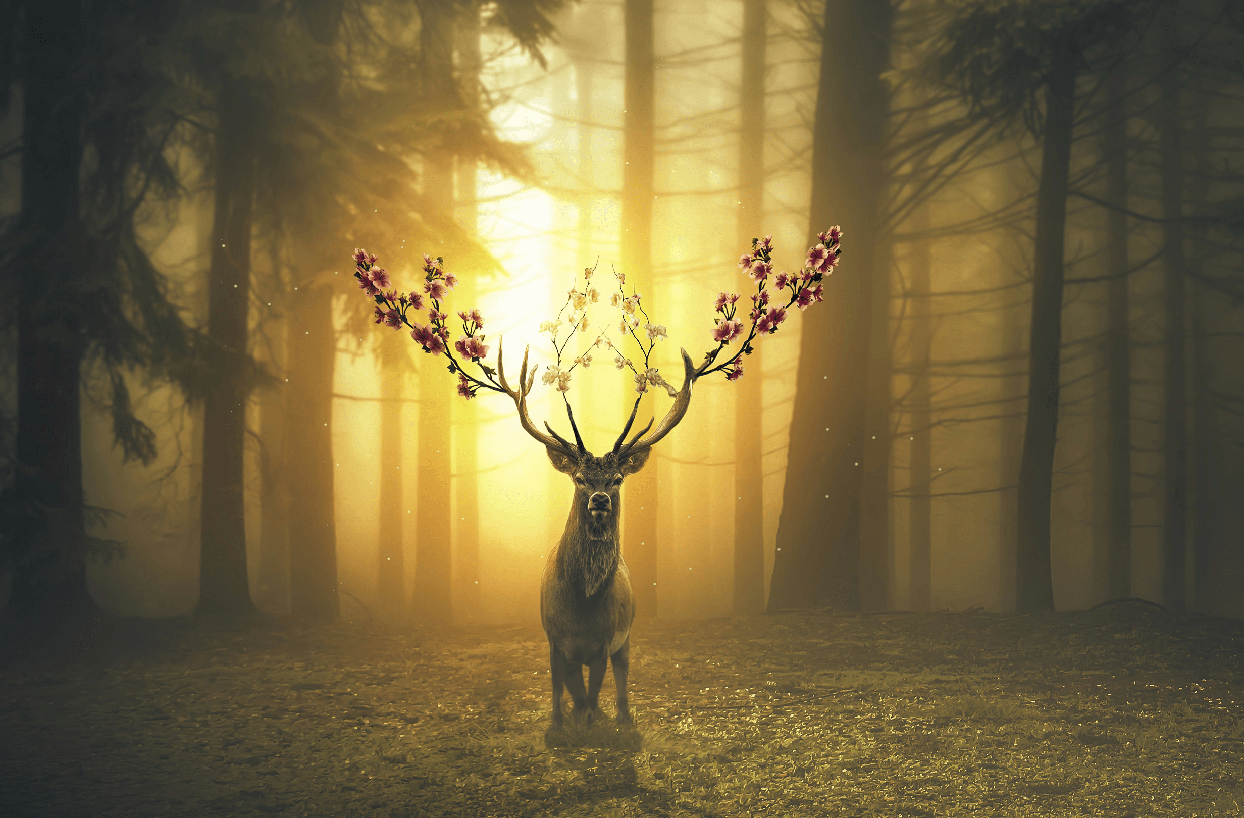 Wallpaper Deer, Spring, Bloom, Forest, Surreal, HD, Creative