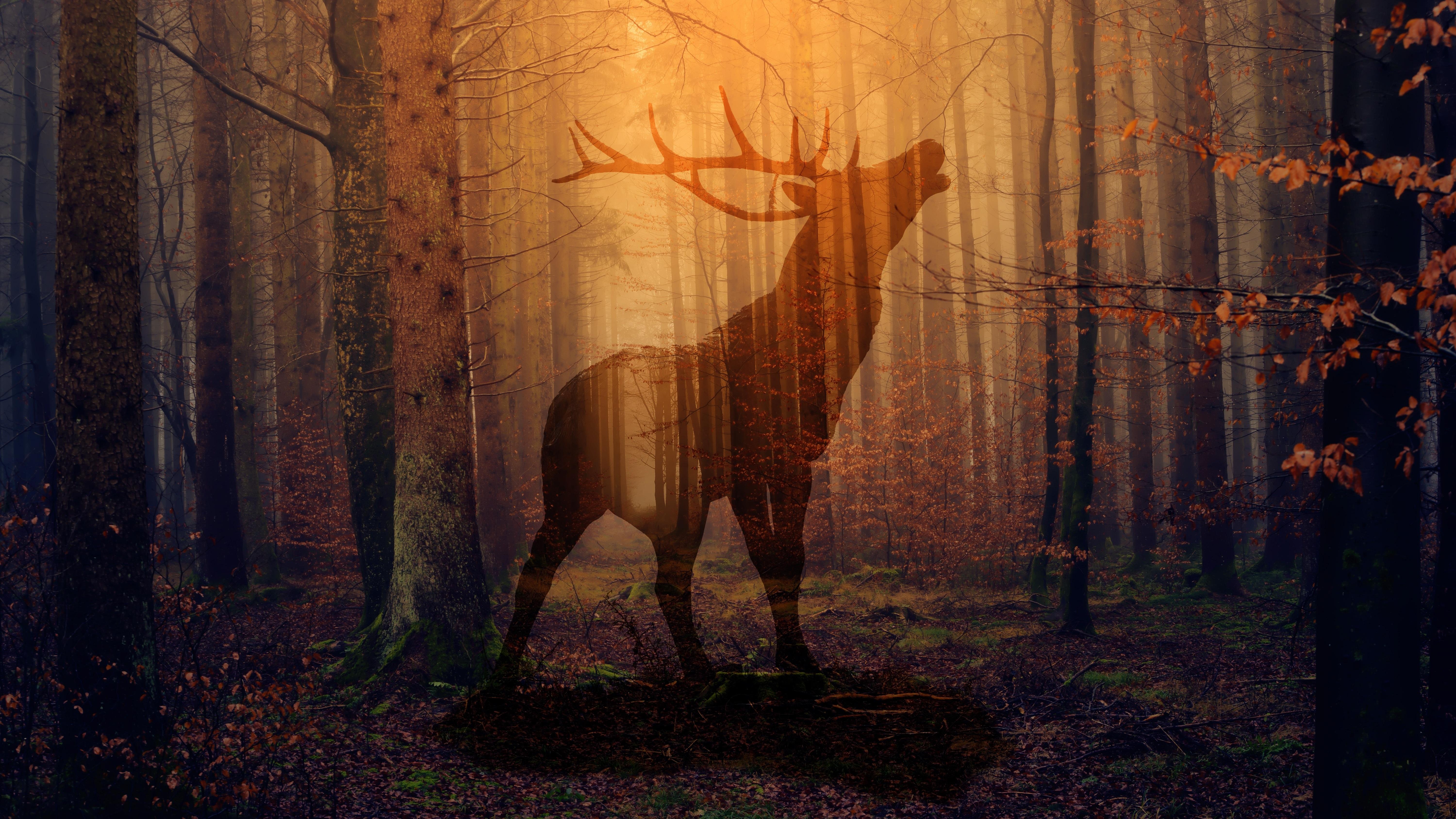 Download wallpaper 6000x3375 deer, forest, fog, silhouette, autumn