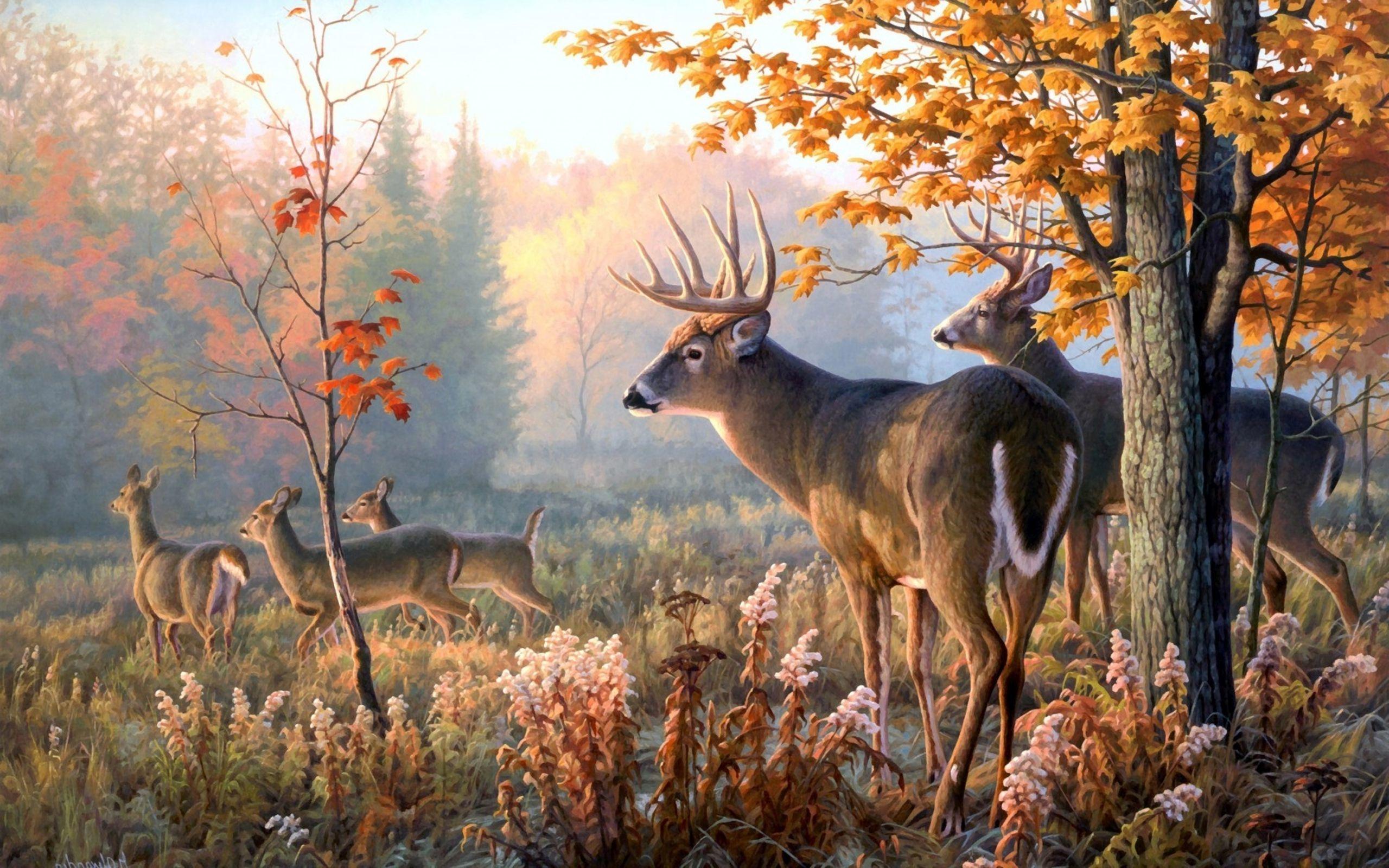 Deer in the forest Wallpaper