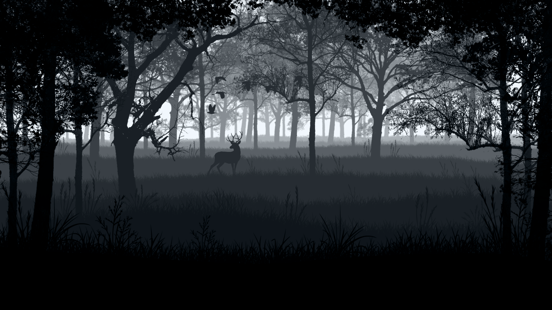 A deer in the forest [1920x1080]