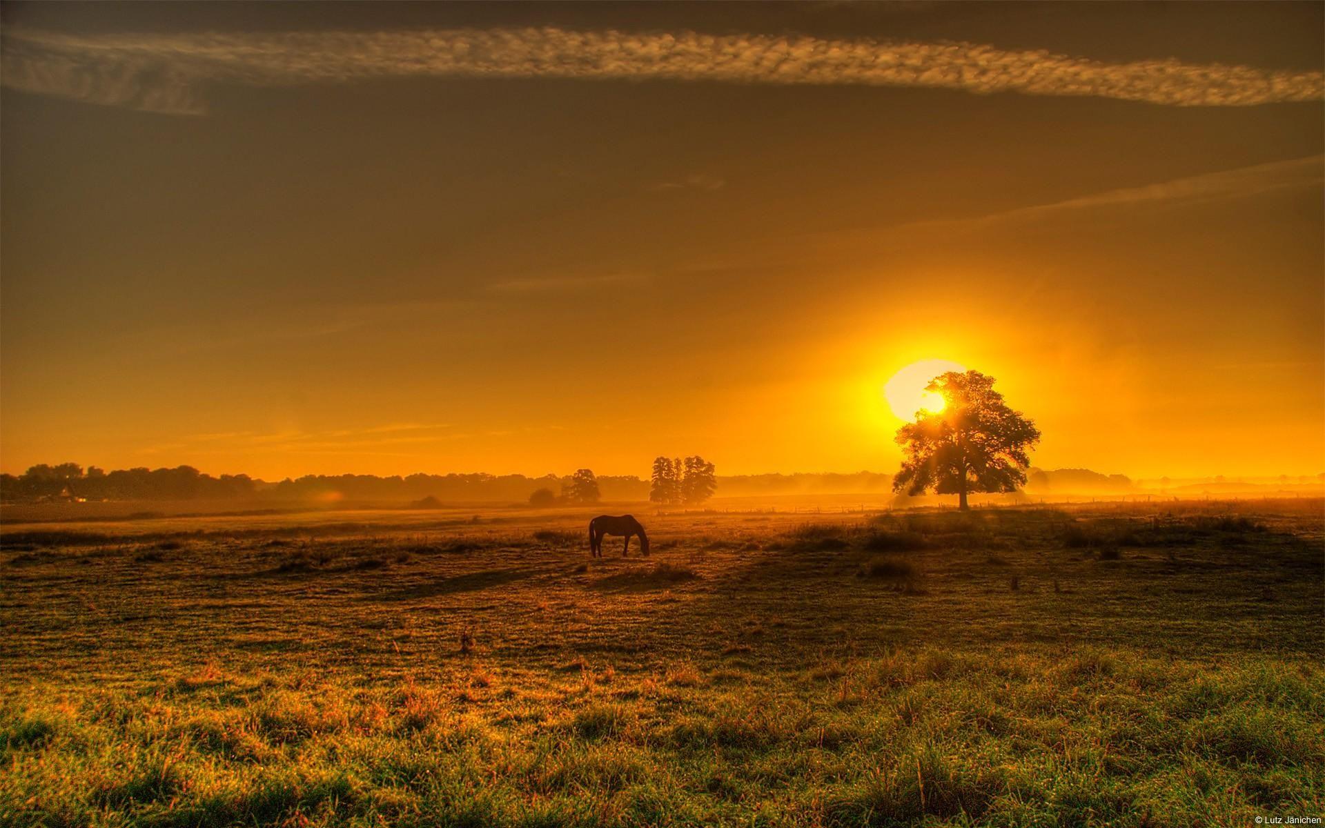 Peaceful Country Side. Sunset, Background picture, Sunrise