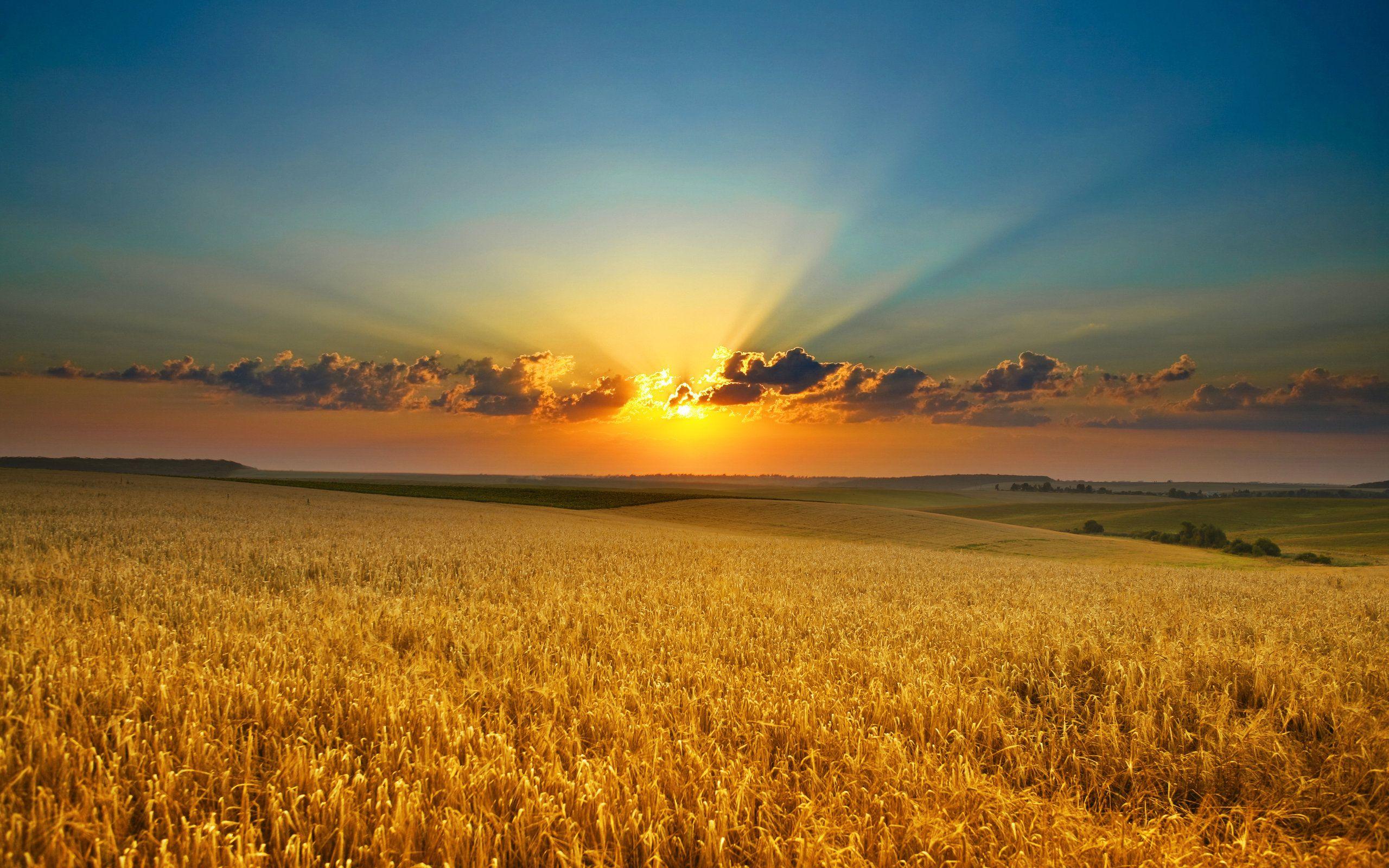 Country Landscapes with Sunset Wallpaper