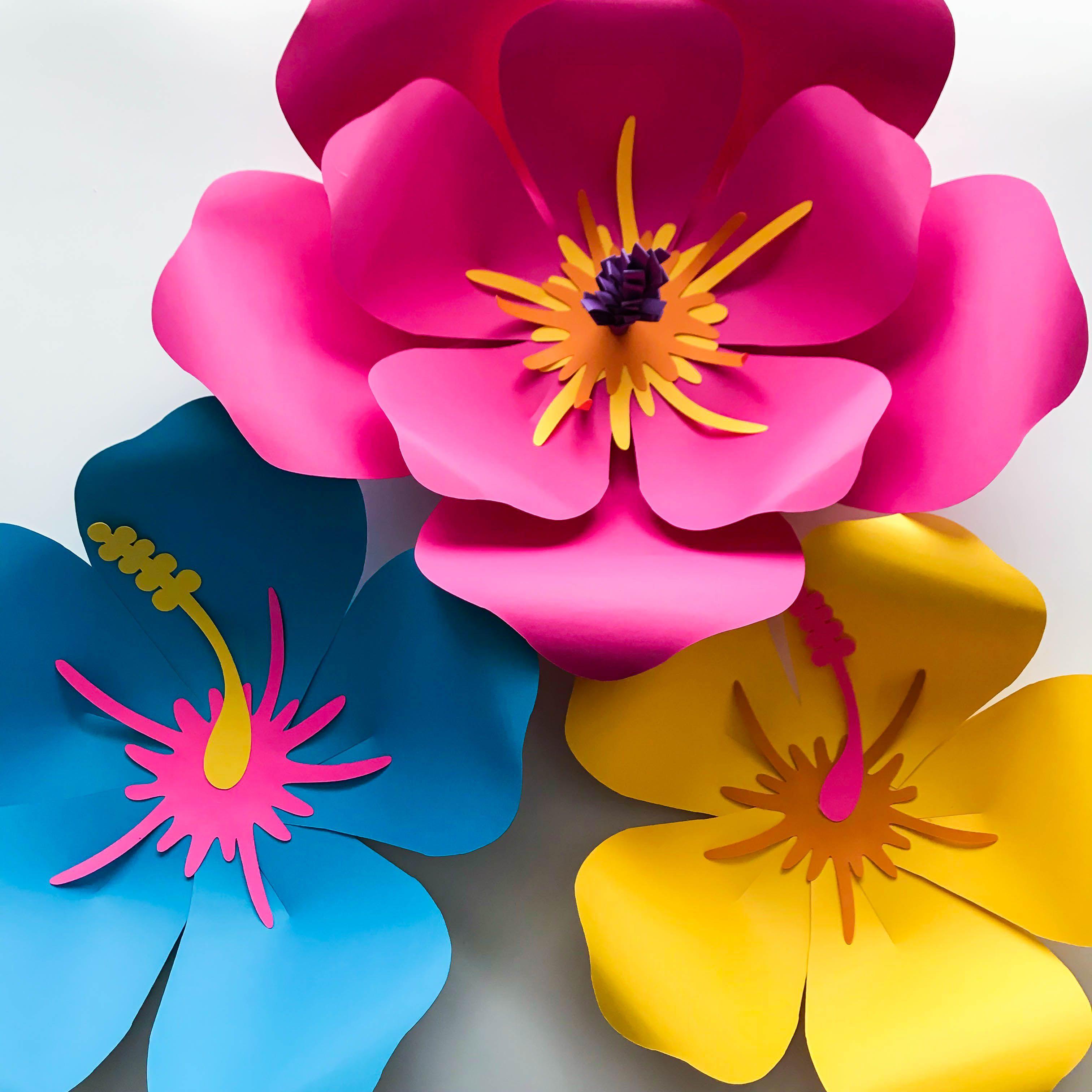 hibiscus paper flower