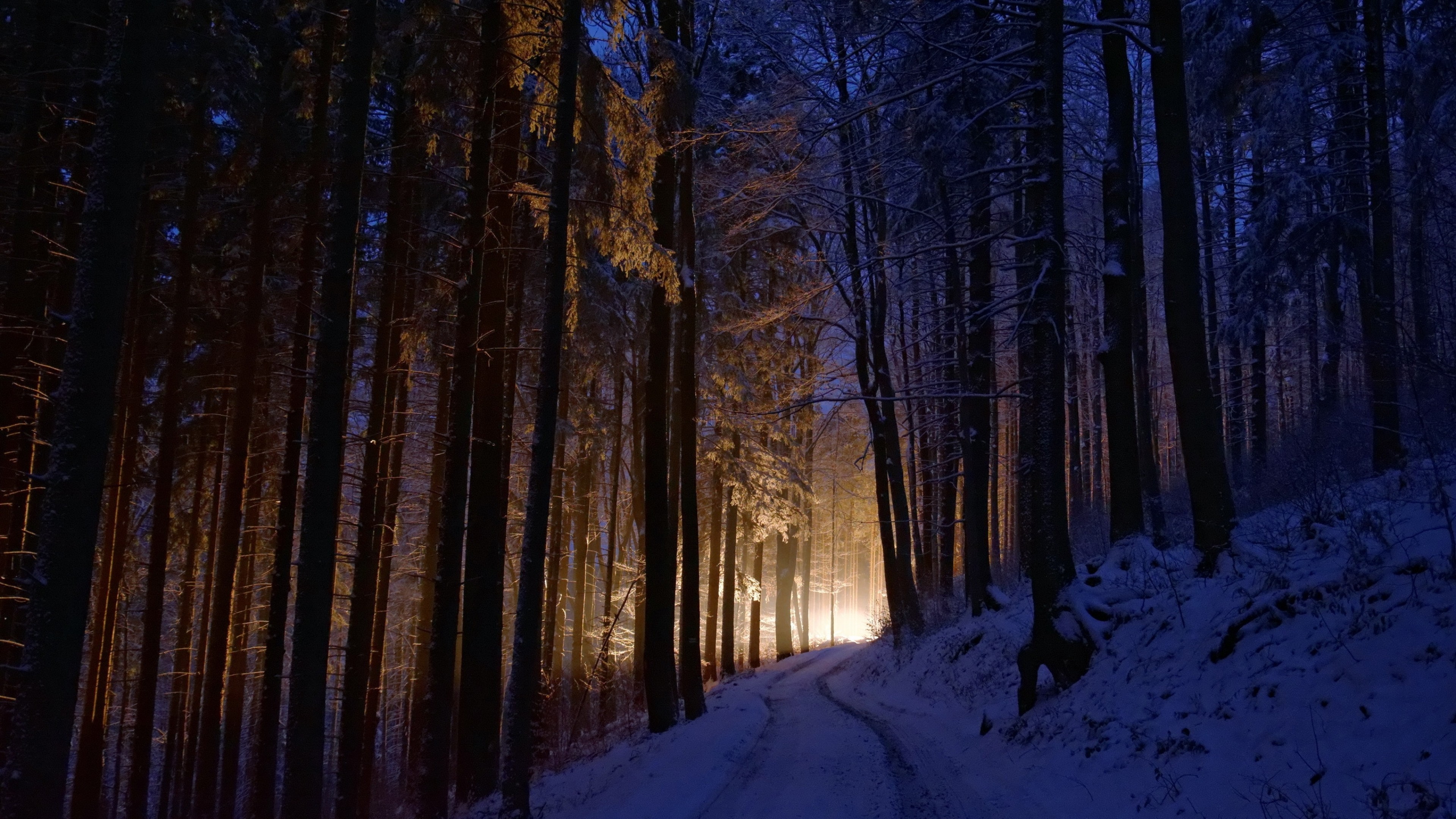 Download 3840x2160 Forest, Light, Winter, Trees, Path, Snow, Road