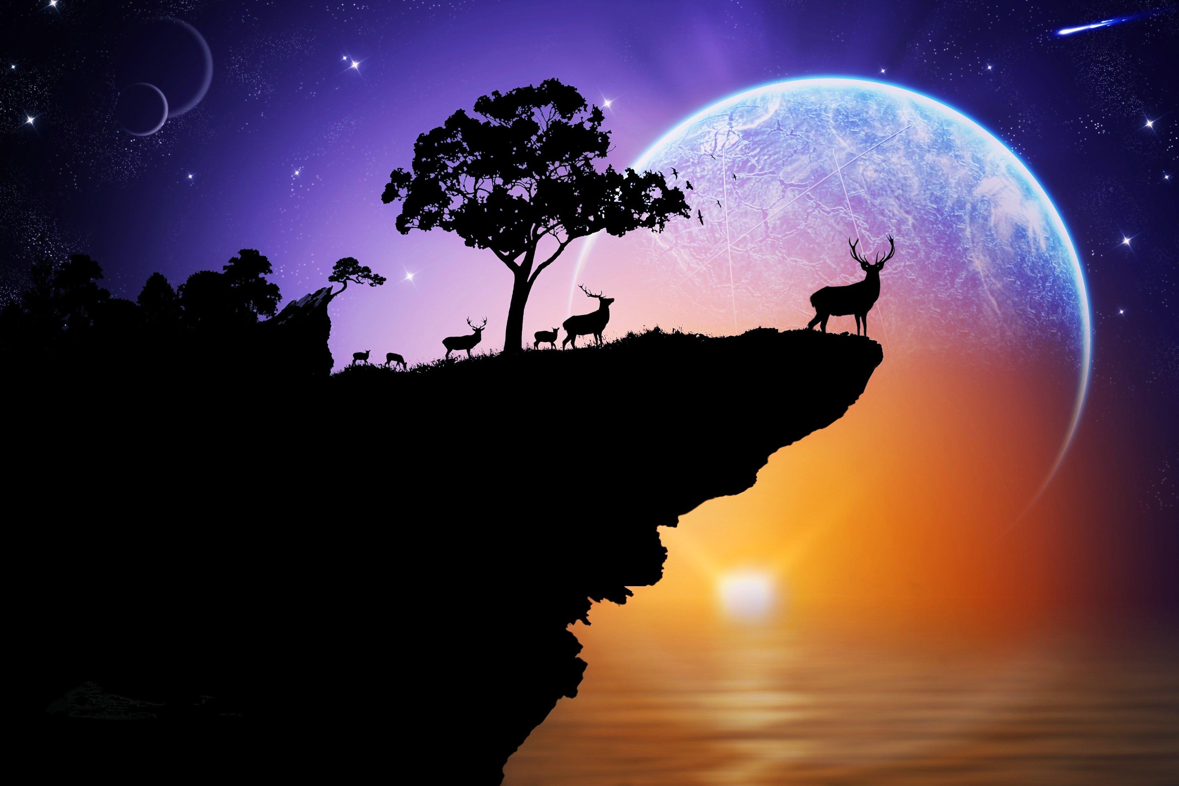 space, Fantasy, Animals, Landscapes, Planets, Sunset, Beauty