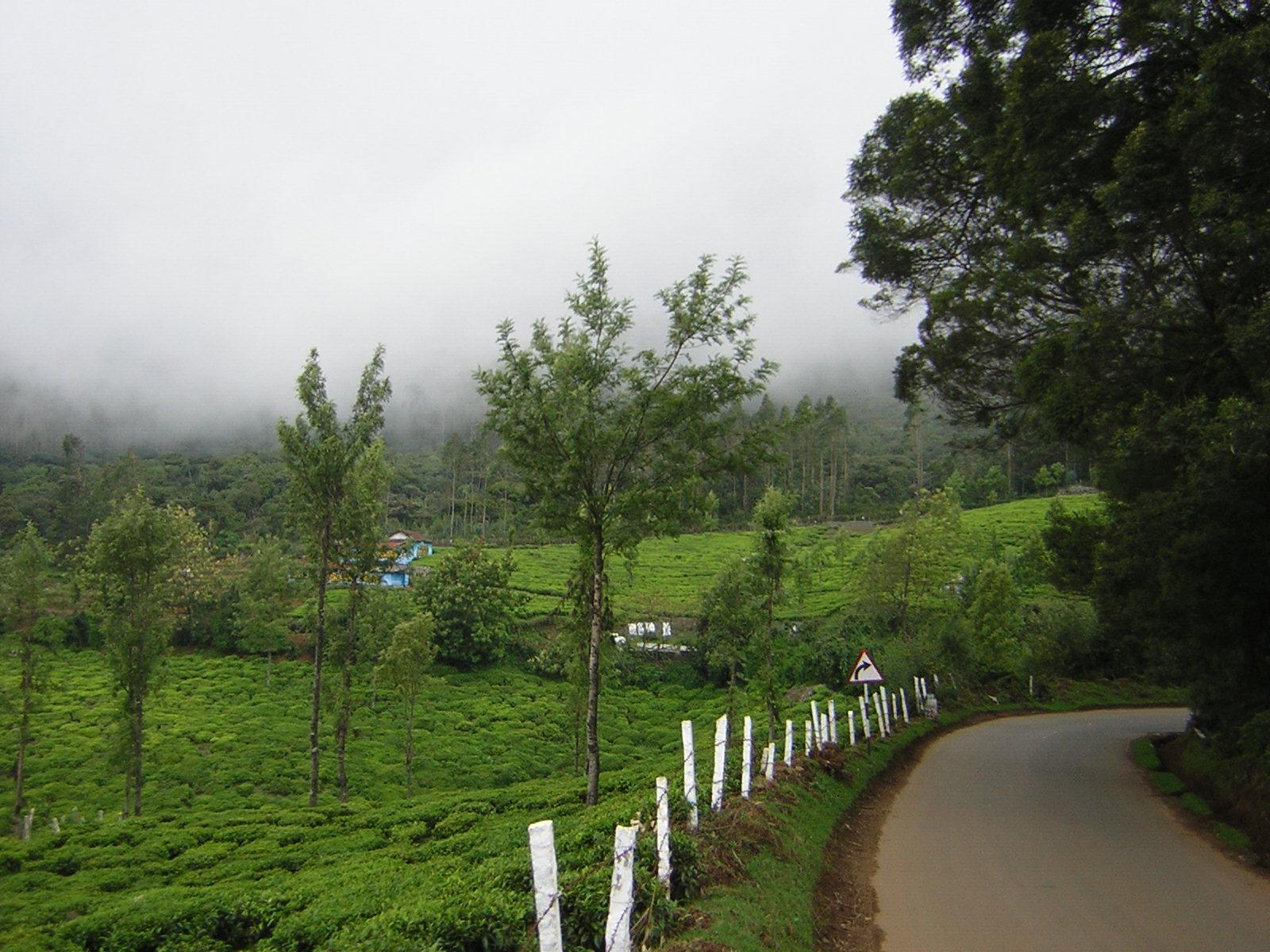 Ooty Picture Ooty Travel Photo, HD Travel Image