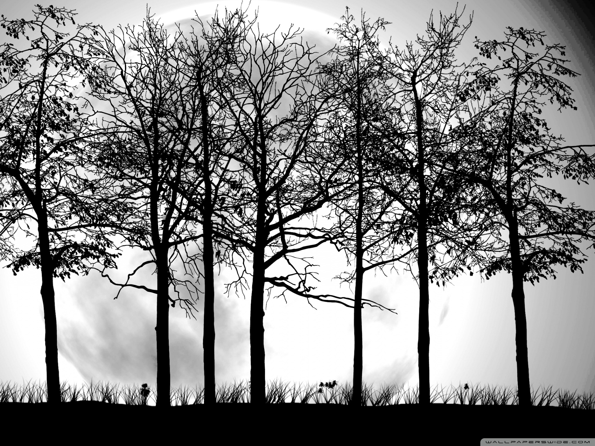 Trees Silhouette ❤ 4K HD Desktop Wallpaper for 4K Ultra HD TV