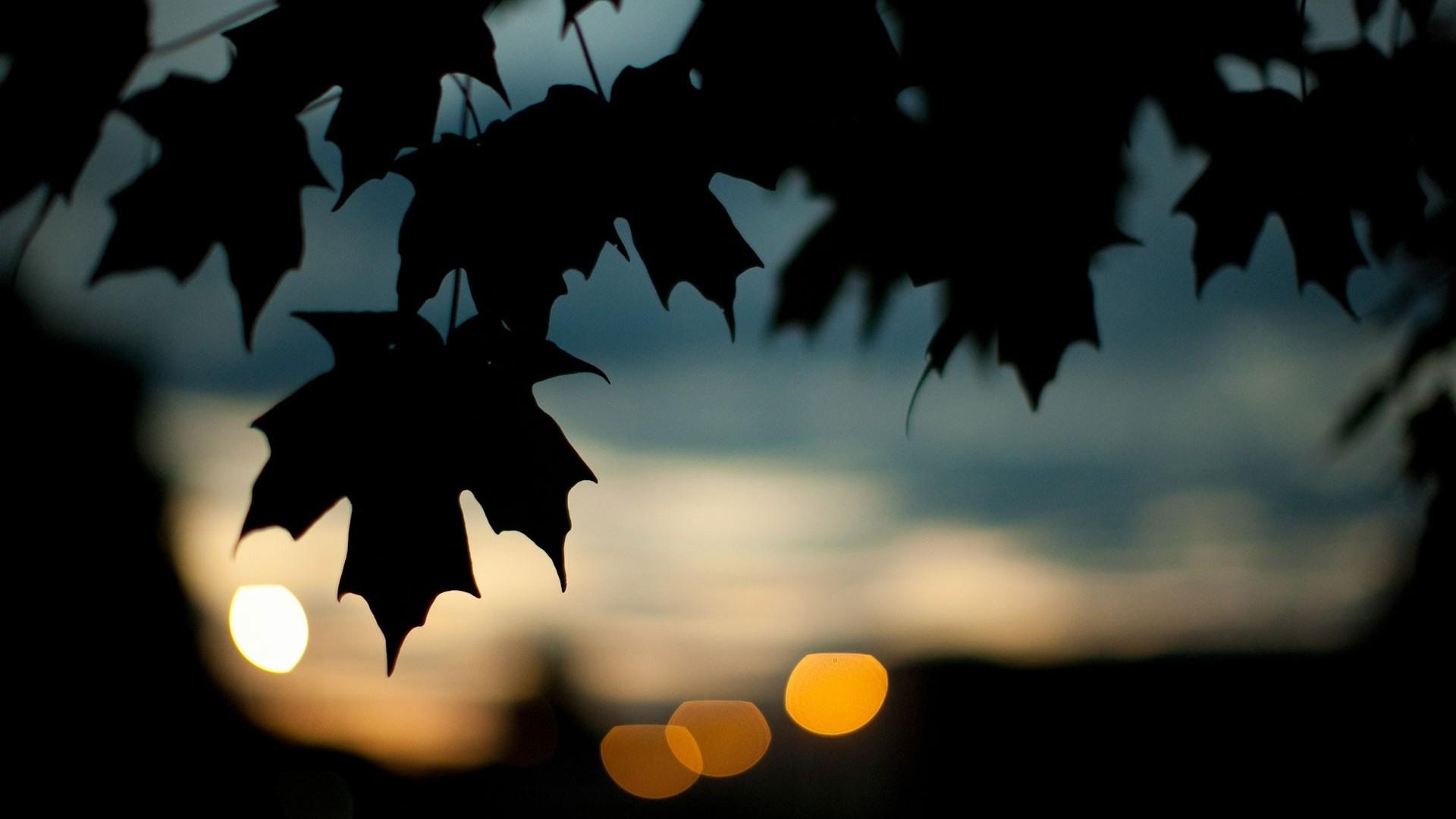 Silhouette Background 33893 1920x1080px