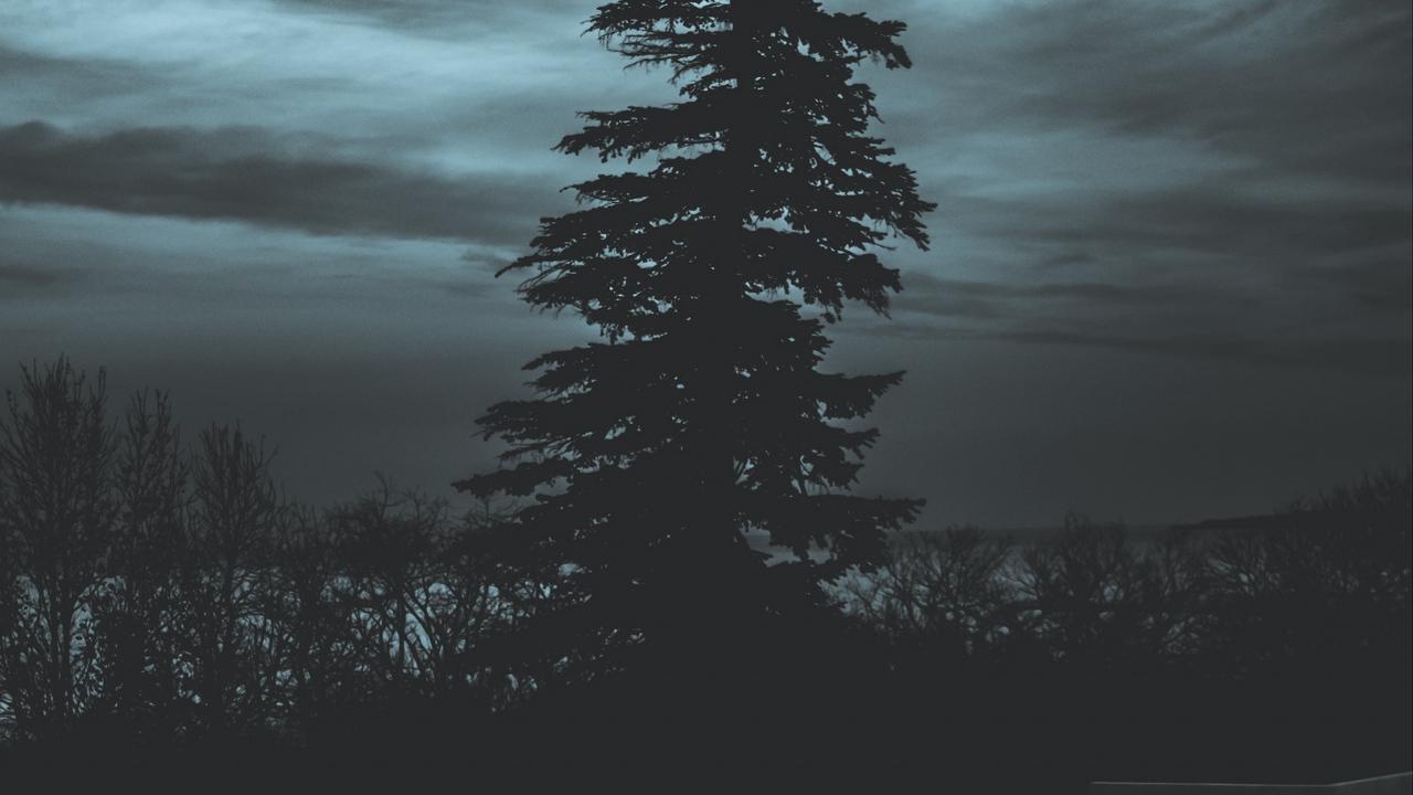 Download wallpaper 1280x720 tree, silhouette, night, sky, dark HD
