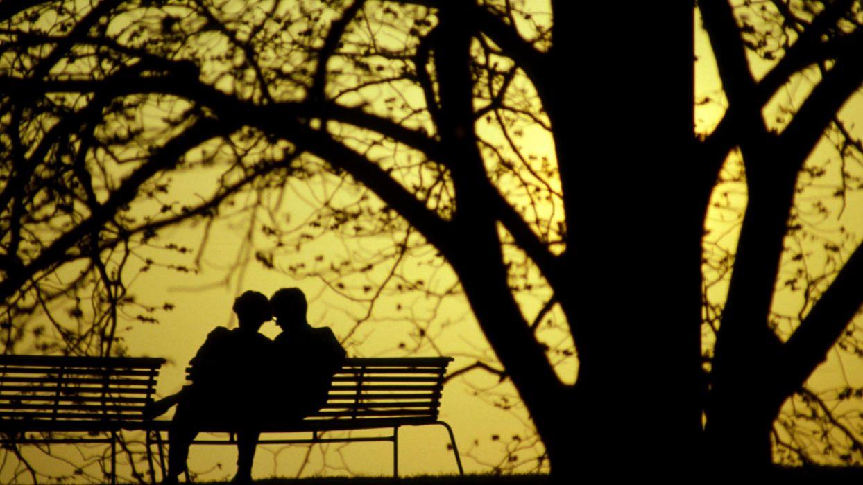 Photography Couple Love Tree Silhouette Romance Bench Park wallpaper