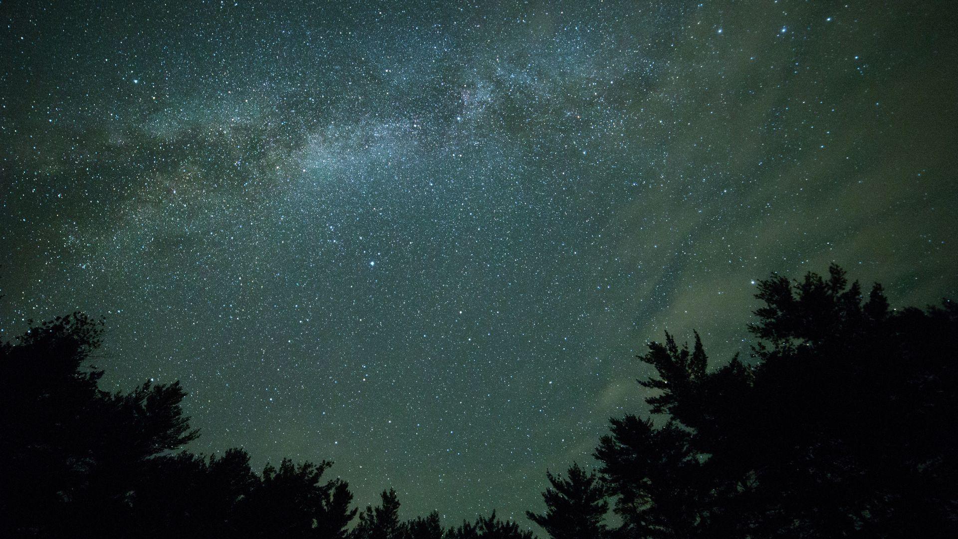 Stars Galaxy over Silhouette of Trees Wallpaper