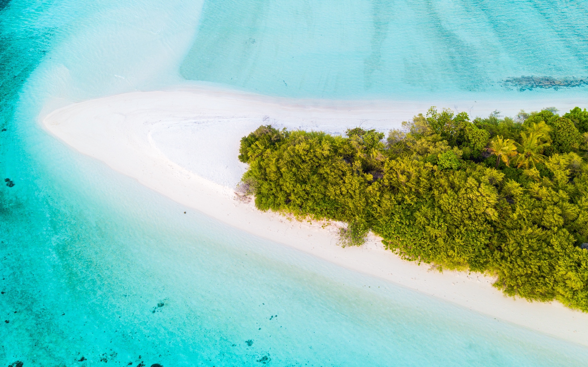 Download wallpaper 1920x1200 island, aerial view, ocean, tropics