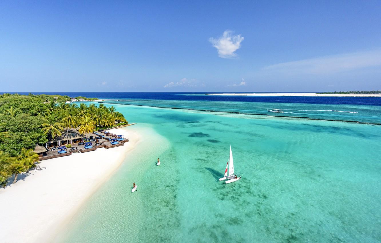 Wallpaper beach, palm trees, the ocean, island, The Maldives, resort