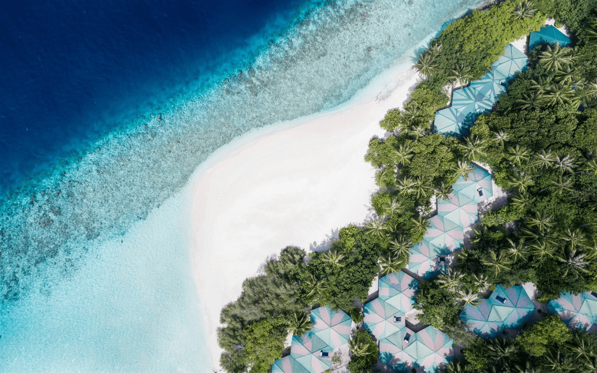 Download wallpaper Maldives, tropical island, aerial view, beach