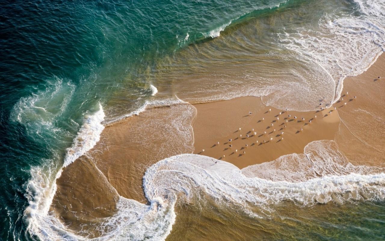 Foamy Ocean Sea Gulls Beach wallpaper. Foamy Ocean Sea Gulls Beach