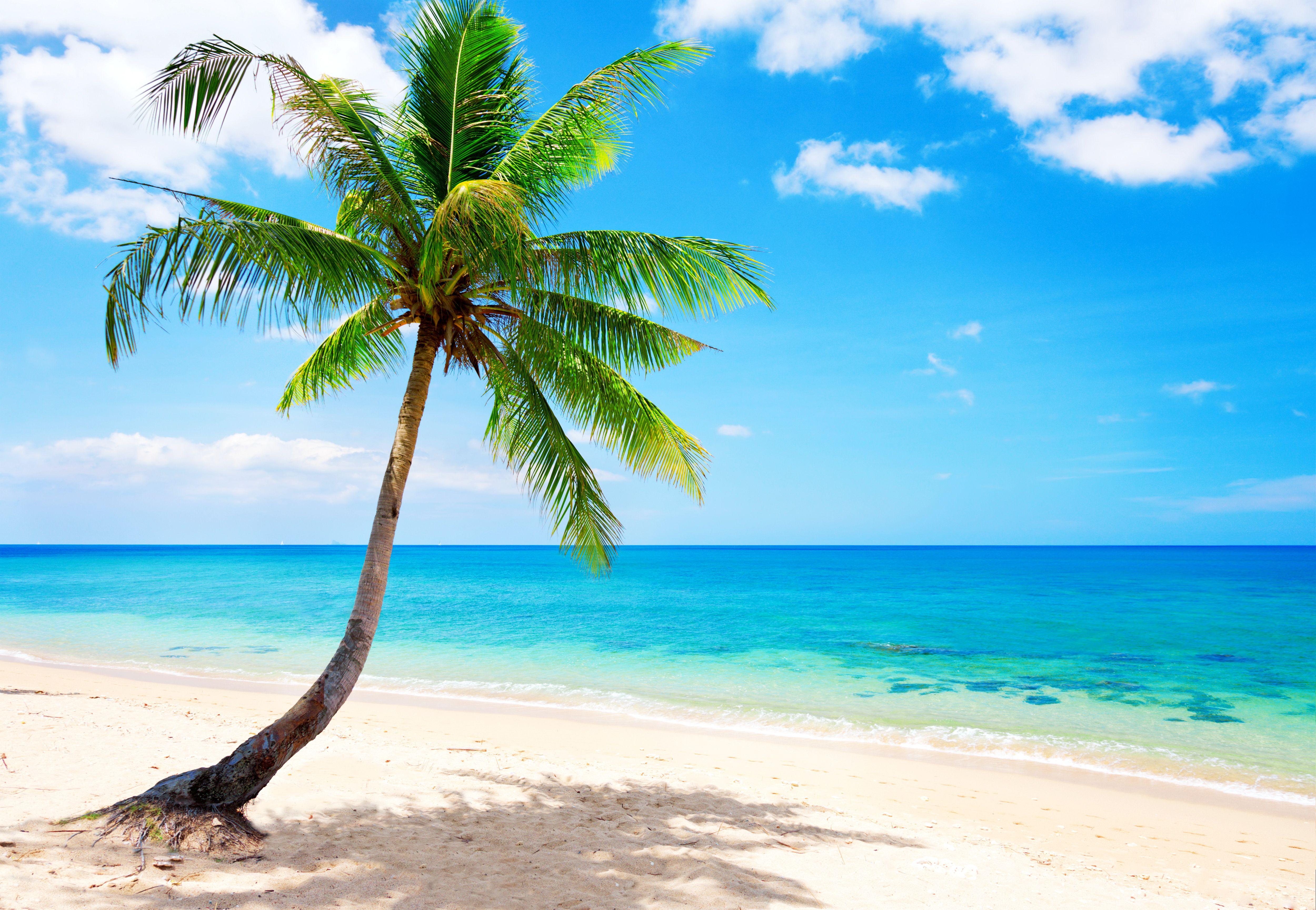 Tropical Paradise Desktop Wallpapers