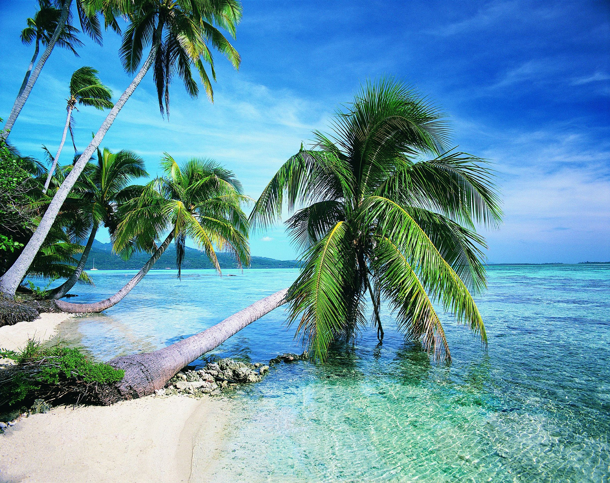 Tropical Beach Paradise Picture Wallpapers
