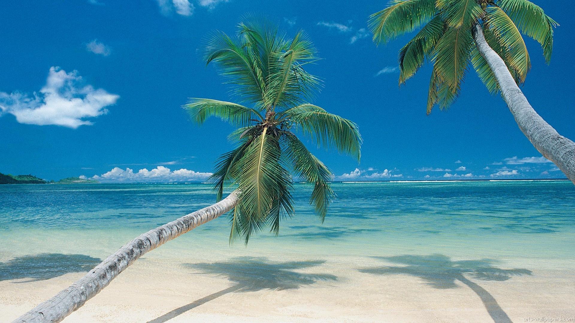Beach Paradise Wallpapers