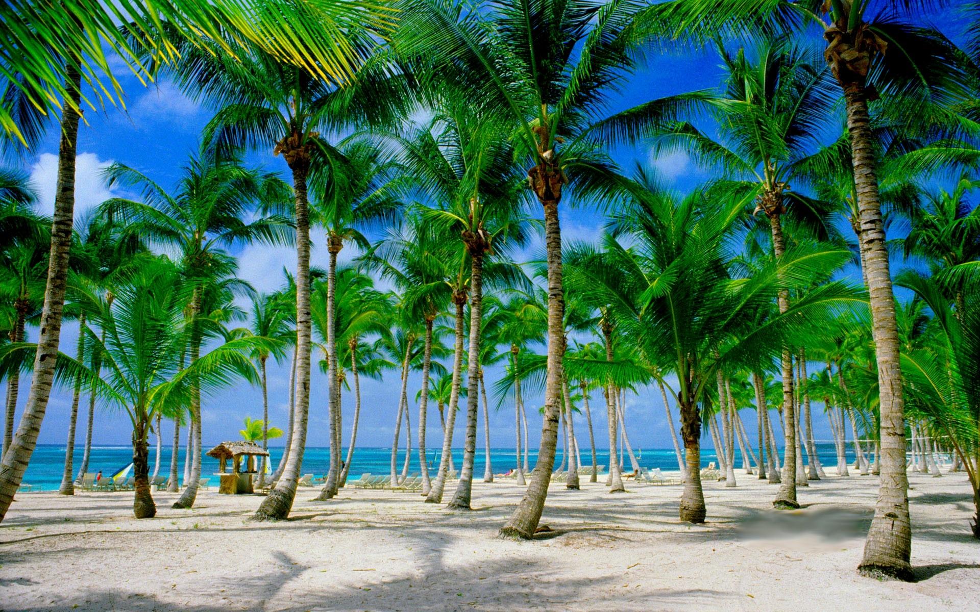Tropical paradise wallpapers Gallery