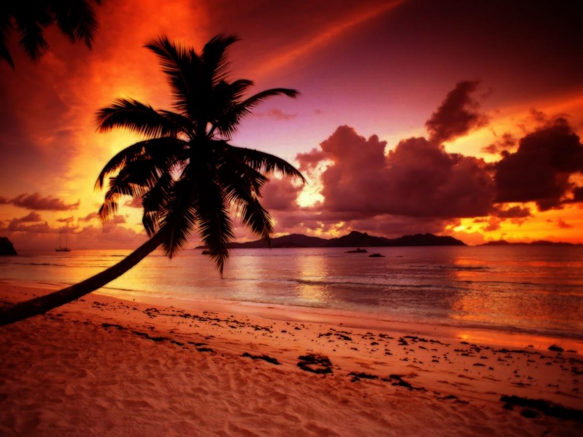 Tropical Beach Paradise Sunset HD Wallpaper, Backgrounds Image
