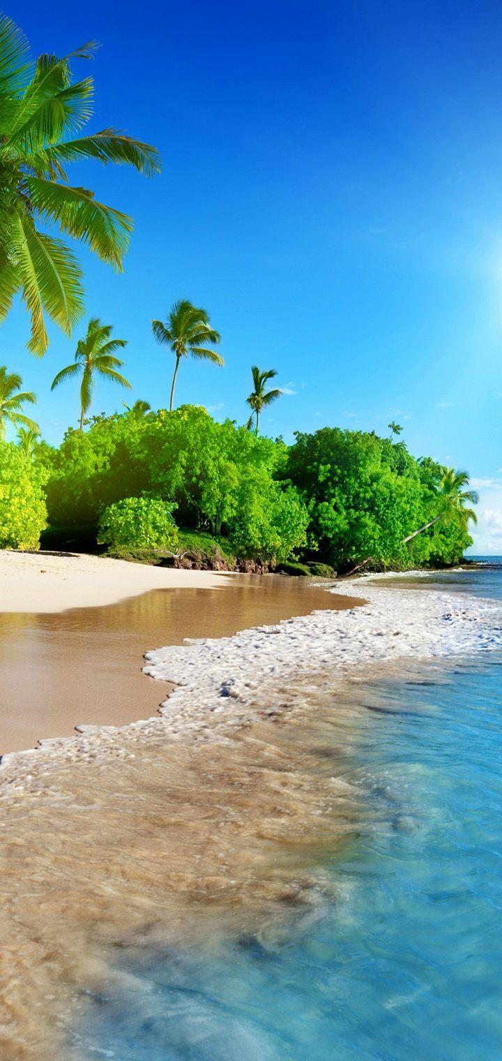 Sunshine Beach Coast Tropical Paradise Wallpapers