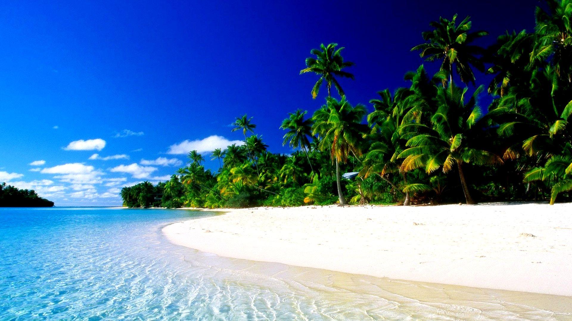 HD Tropical Paradise Wallpaper, beach, palms, ocean, tropical