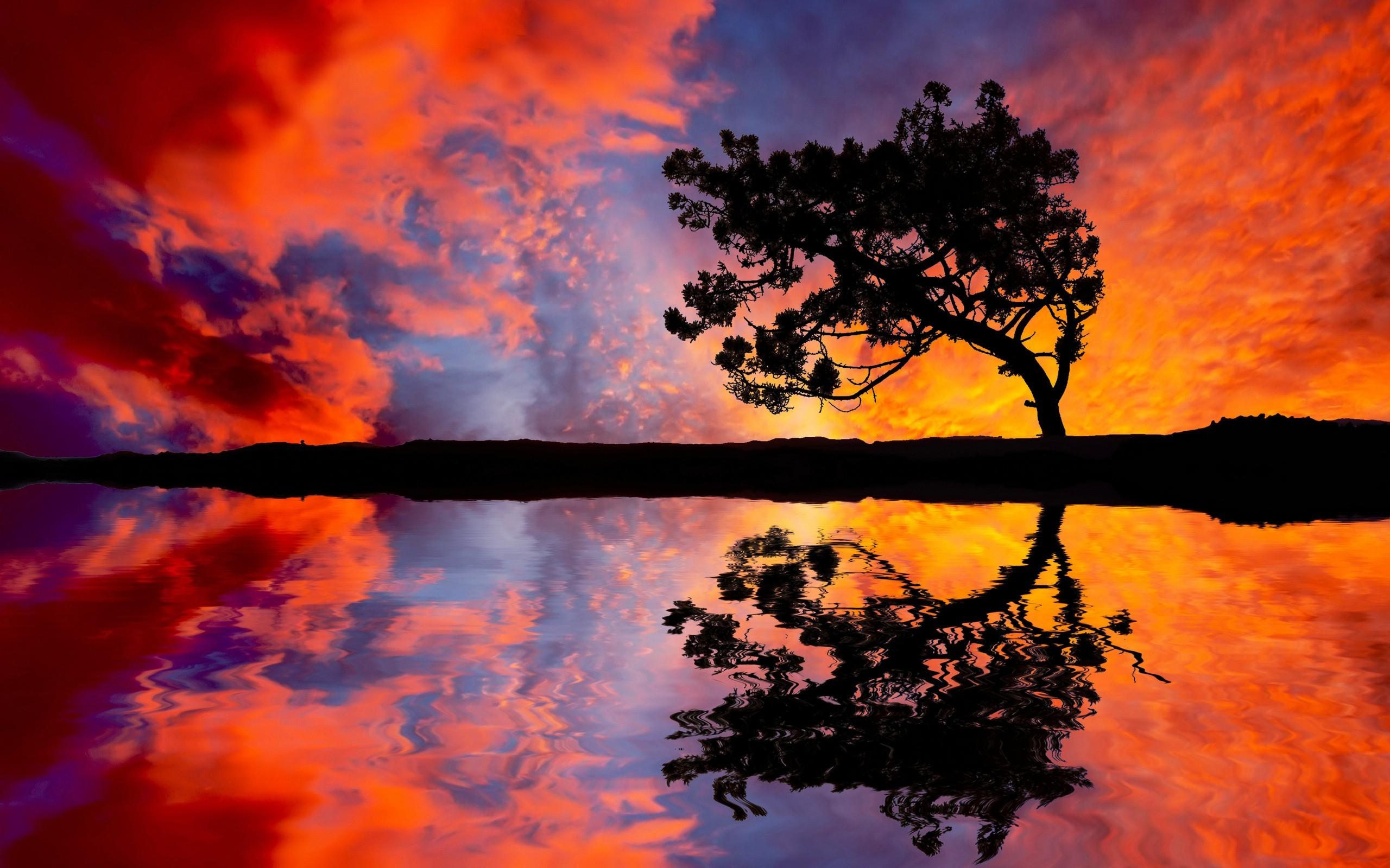 Landscapes reflections trees wallpaper. PC