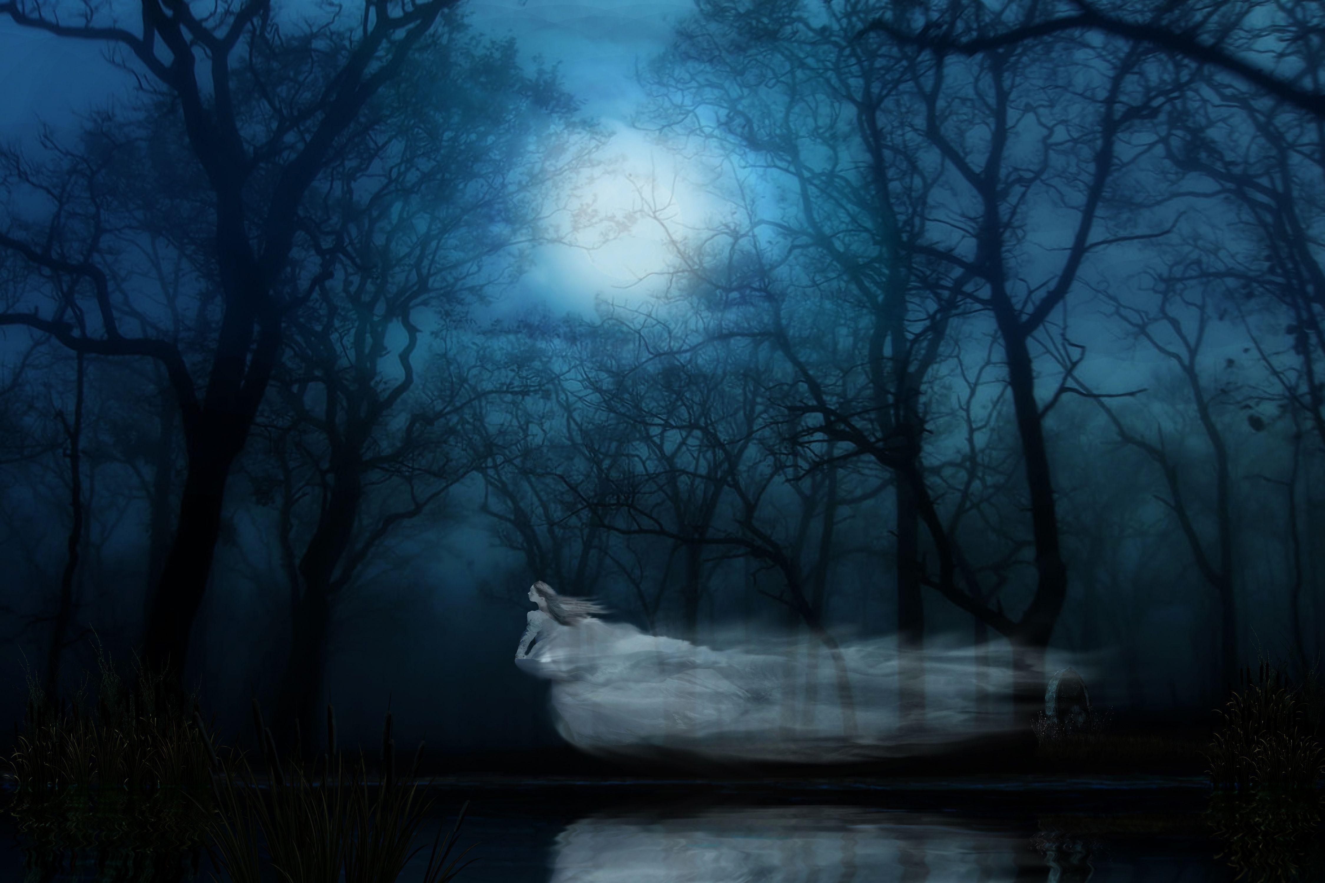 Ghost Forest Night Wallpaper Free Ghost Forest Night