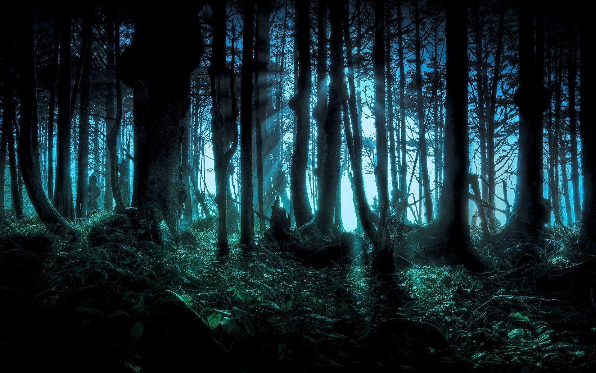 Ghost Forest Night Wallpaper Free Ghost Forest Night