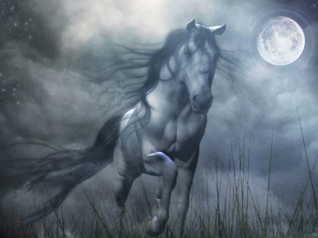 Ghostly Horse Wallpaper HD Wallpaper. Funny Videos. Hot Girls