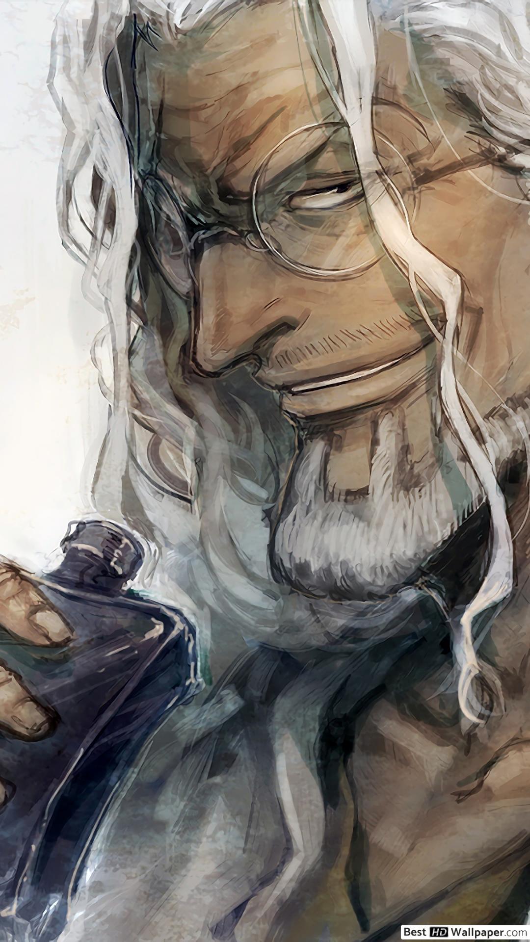 One Piece Rayleigh HD wallpaper download