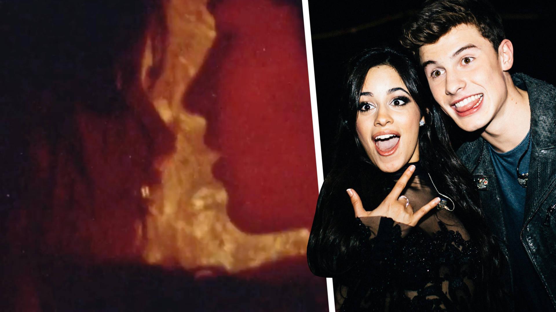 Shawn Mendes makes out with Camila Cabello in 'Señorita' music video