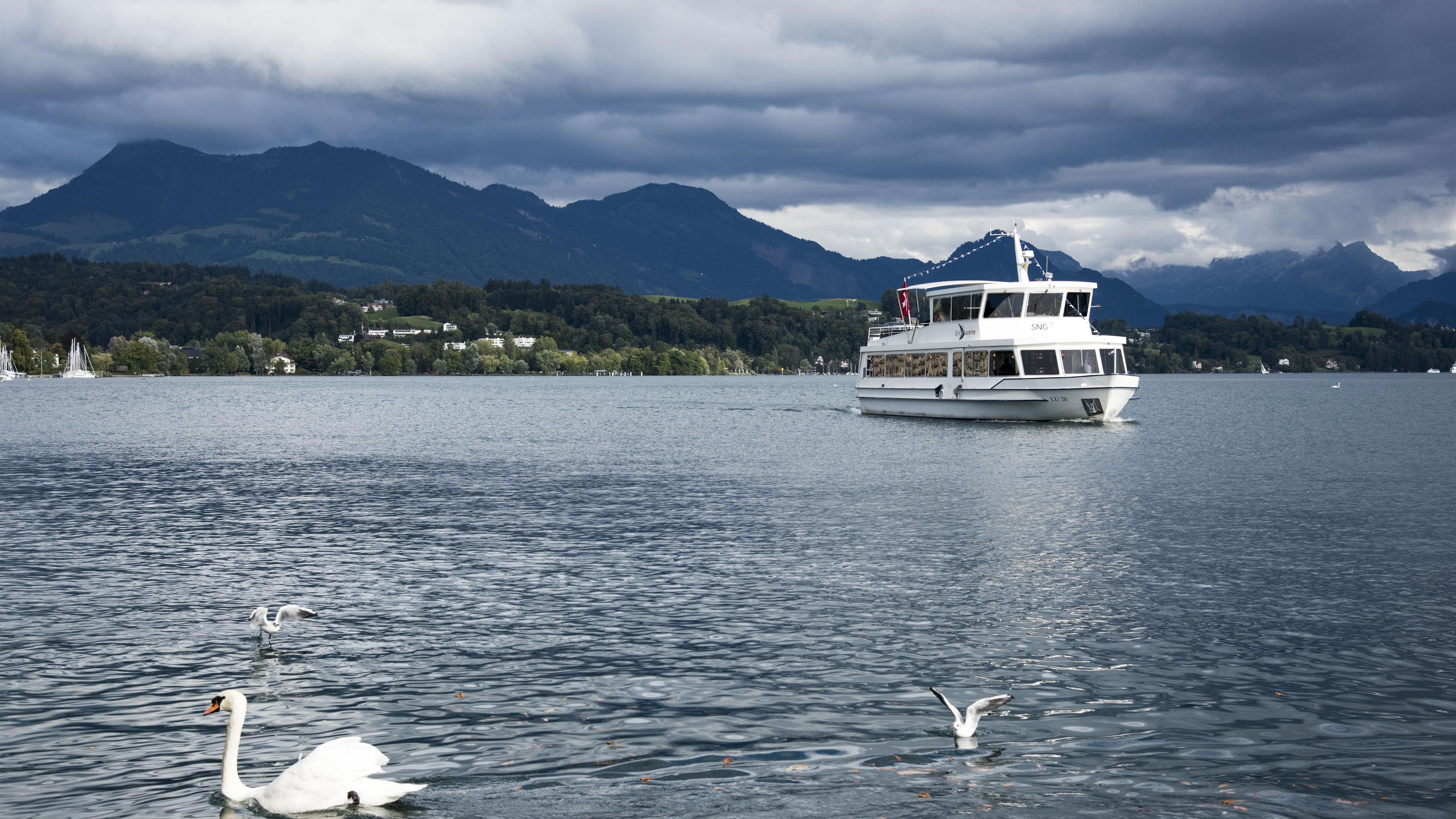Wallpaper Lucerne, Switzerland, river, swan, birds, ship 5120x2880