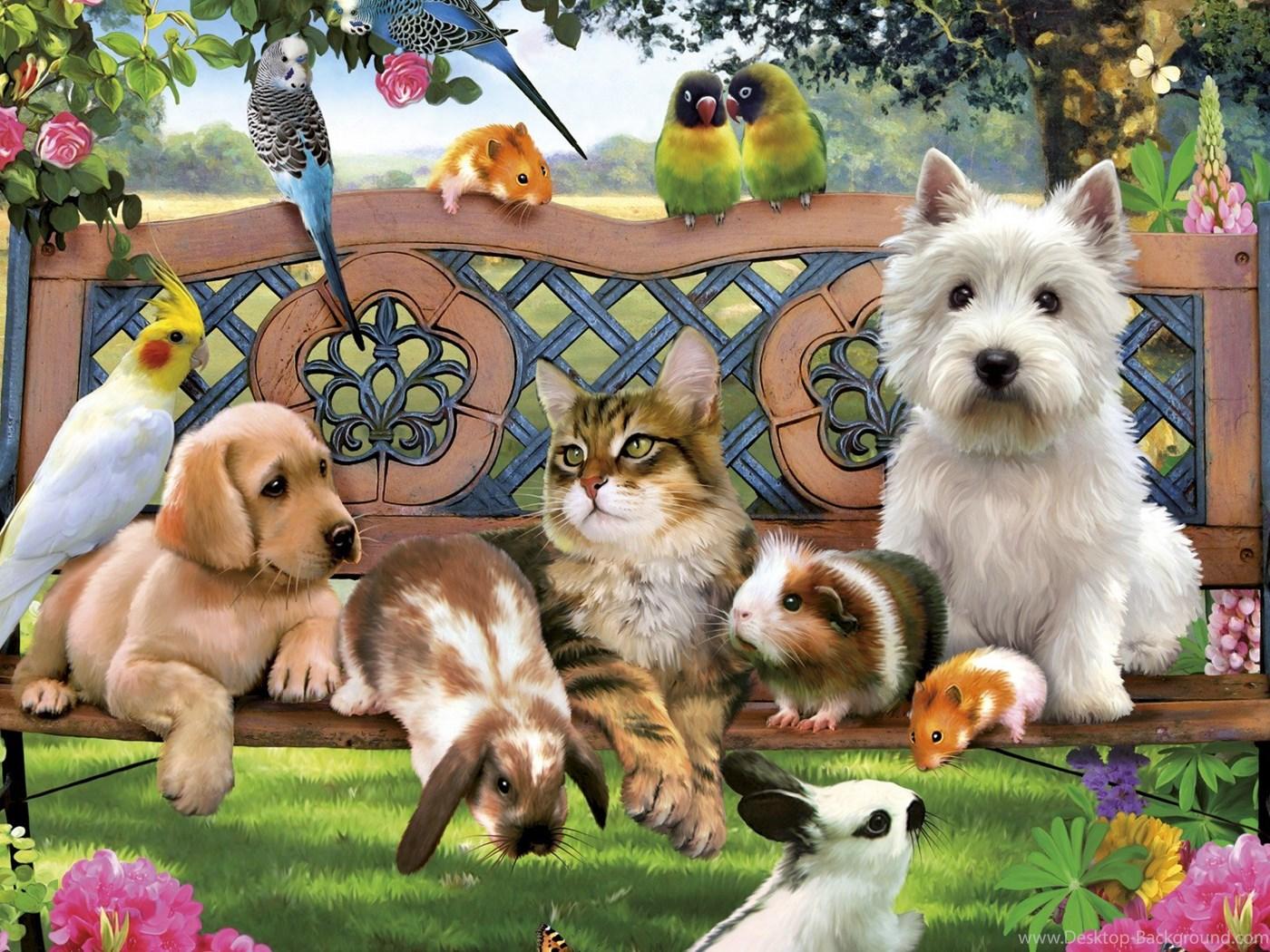 Friends Cats Birds Dogs Animals Rabbit HD Wallpaper Desktop Background
