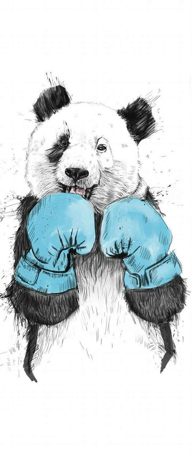 Wallpaper panda lutador boxe animais floresta luta