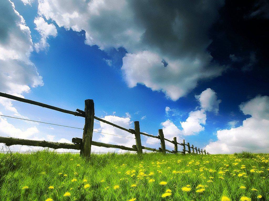 Nature Wallpaper: Spring Fields Wallpaper