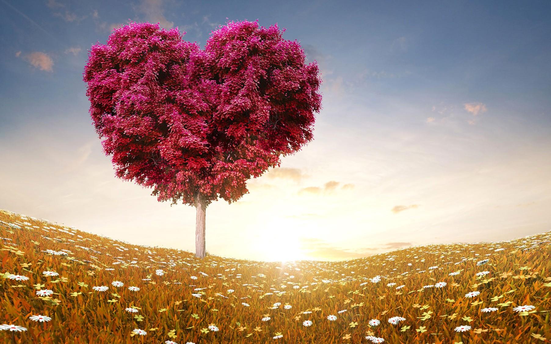 Love, Heart, Tree, Fields, Cool Nature Wallpaper, Amazing Landscape