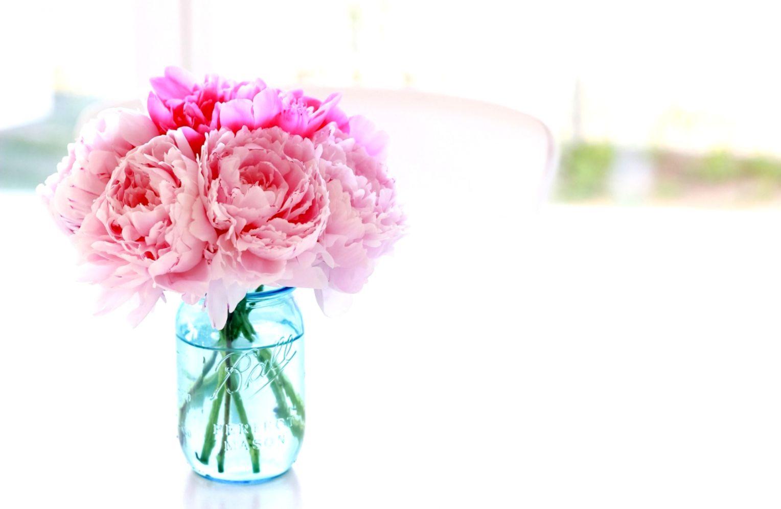 Peonies Flowers Pink Jar HD Wallpaper