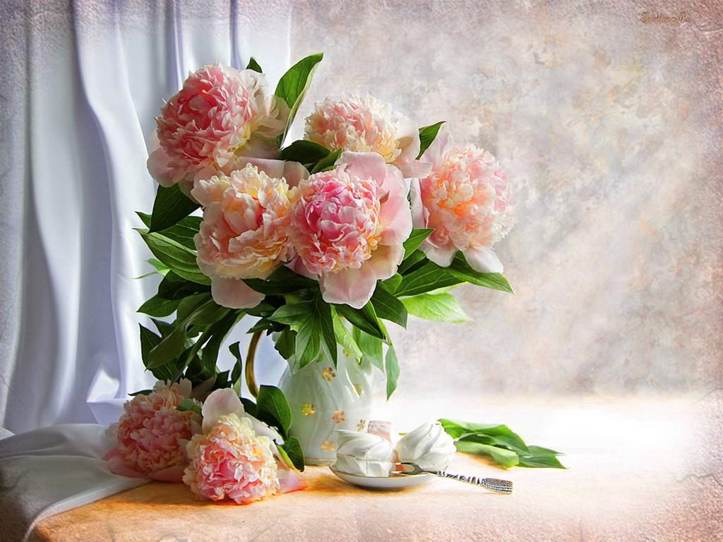 Normal wallpaper: Summer Vacation Sea Beach Sail Boat