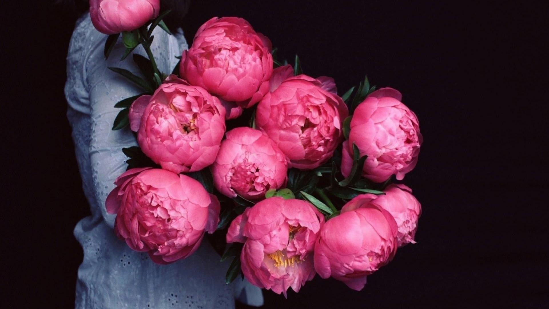 Peony Desktop Wallpaper