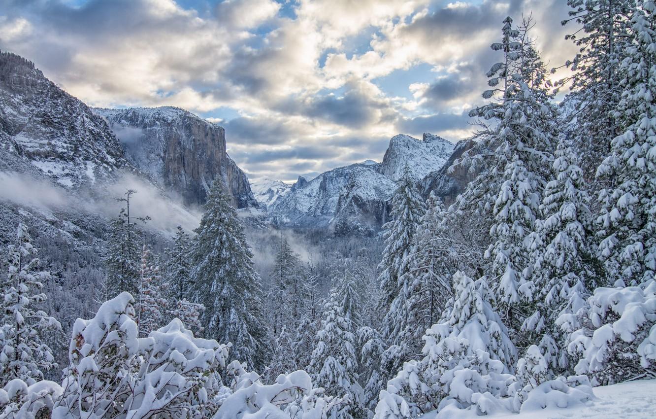 Wallpaper winter, forest, snow, trees, mountains, ate, CA, California, Yosemite Valley, Yosemite National Park, Sierra Nevada, Yosemite Valley, Sierra Nevada, Yosemite national Park image for desktop, section пейзажи