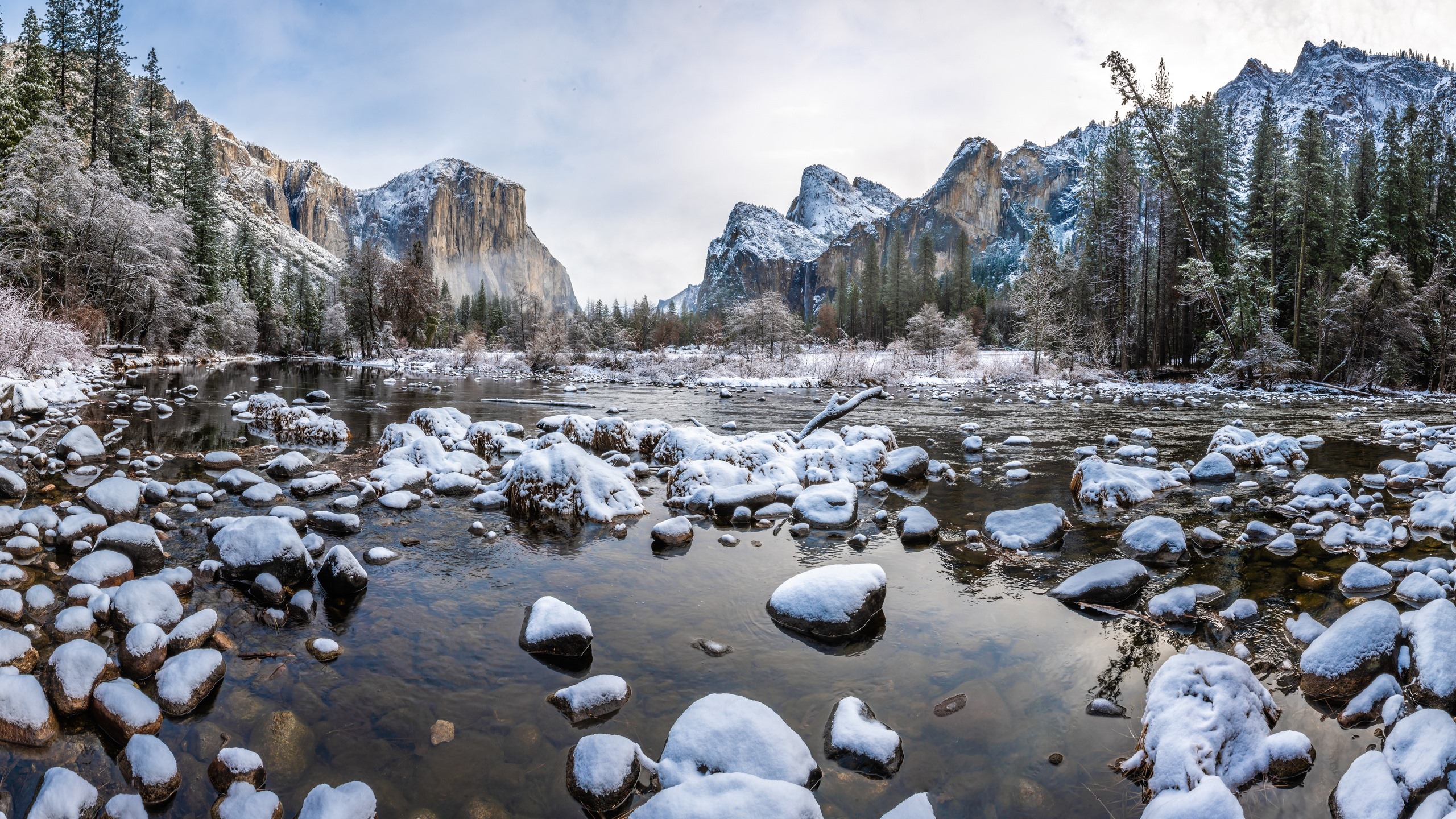 Wallpaper Yosemite National Park in the winter, snow, rocks, mountains, trees 2560x1440 QHD Picture, Image