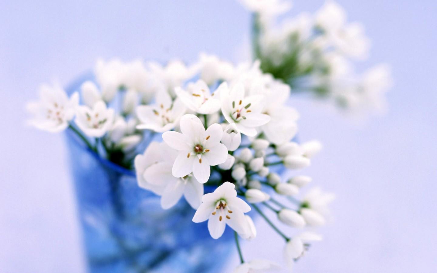 Little Flower Wallpapers - Wallpaper Cave