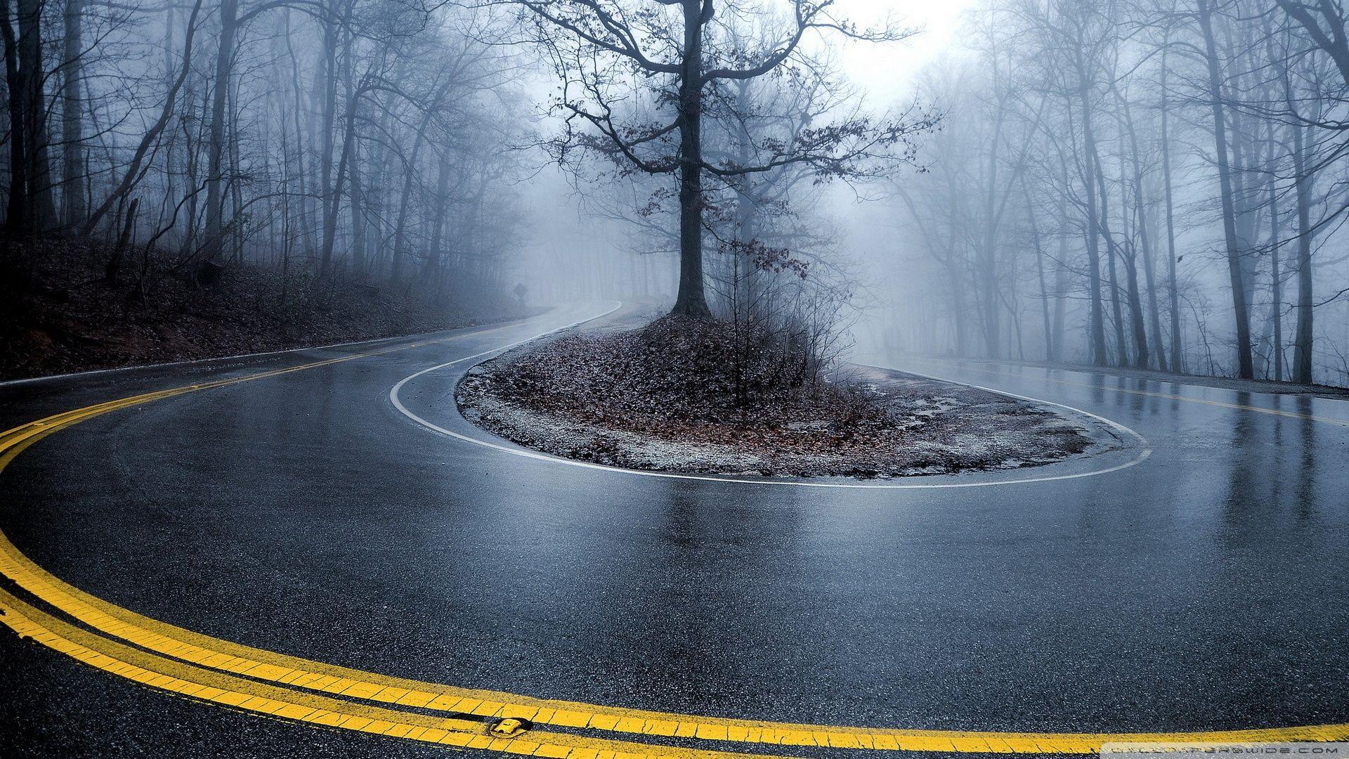 Foggy Forest Road Wallpaper