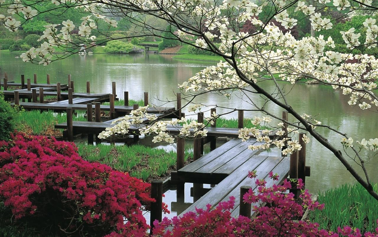 Japanese Garden & Lake wallpaper. Japanese Garden & Lake