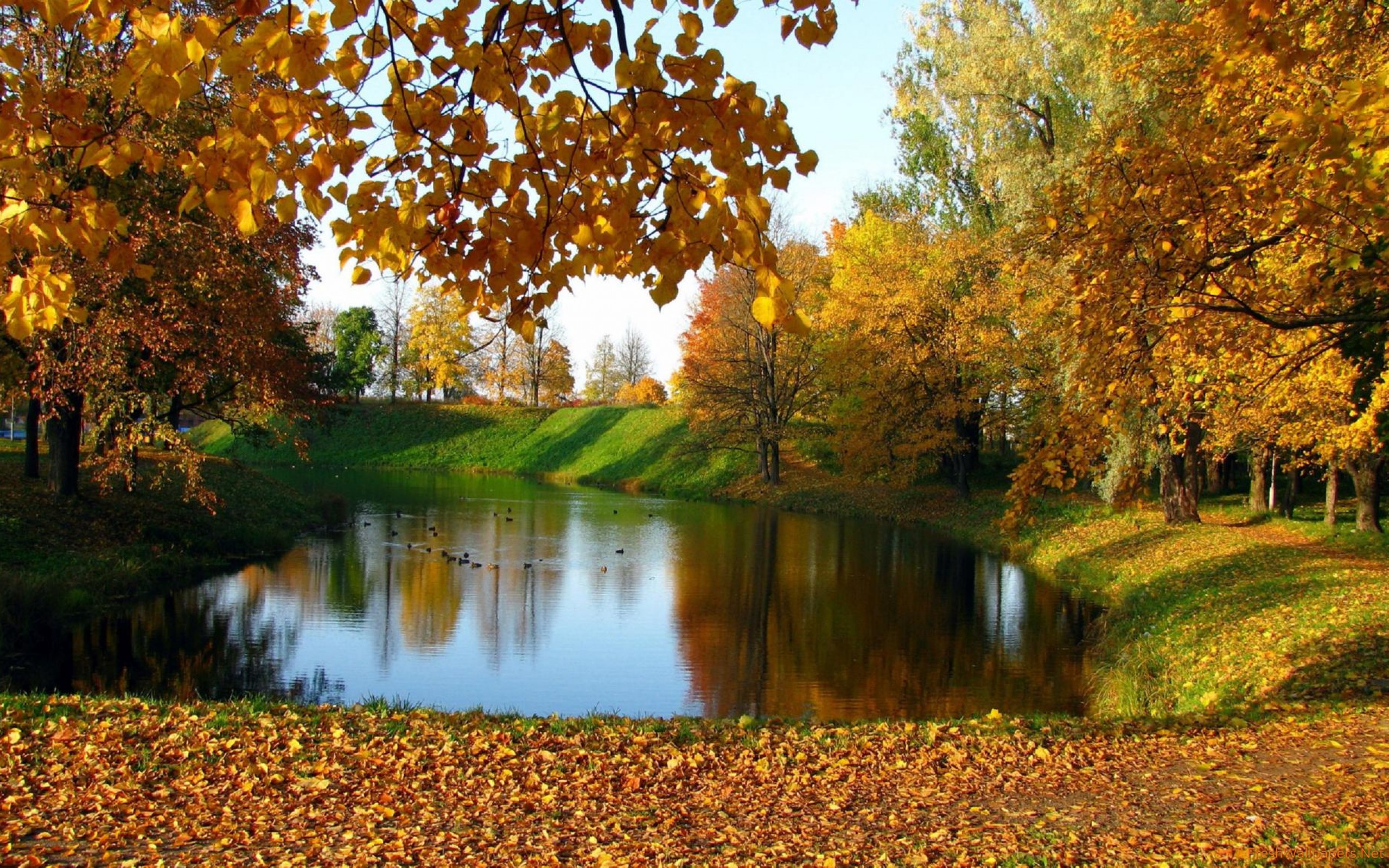 Lake in the autumn garden wallpaper