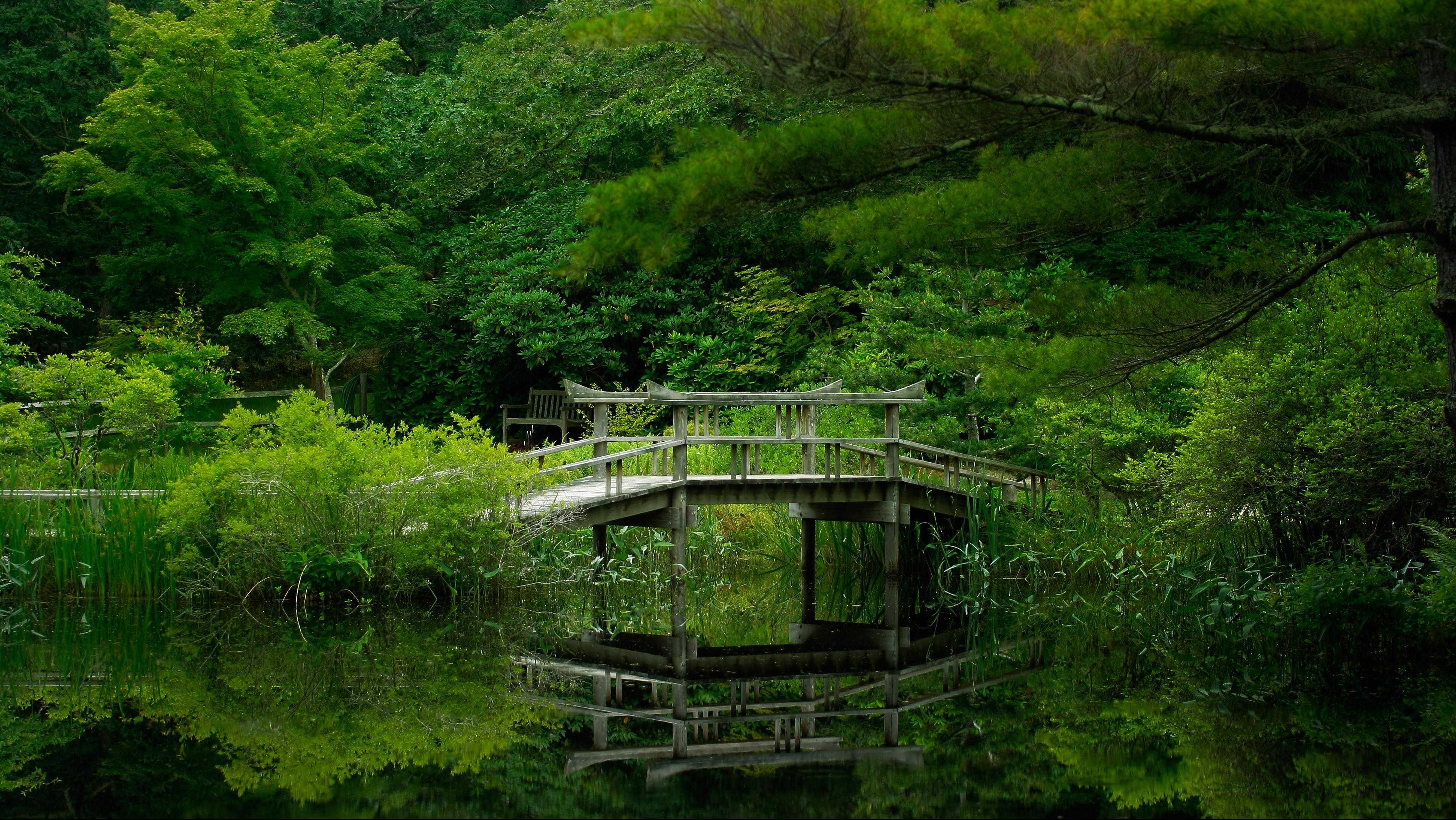 Download Lake Forest Bridge Nature Garden Nature Wallpaper free