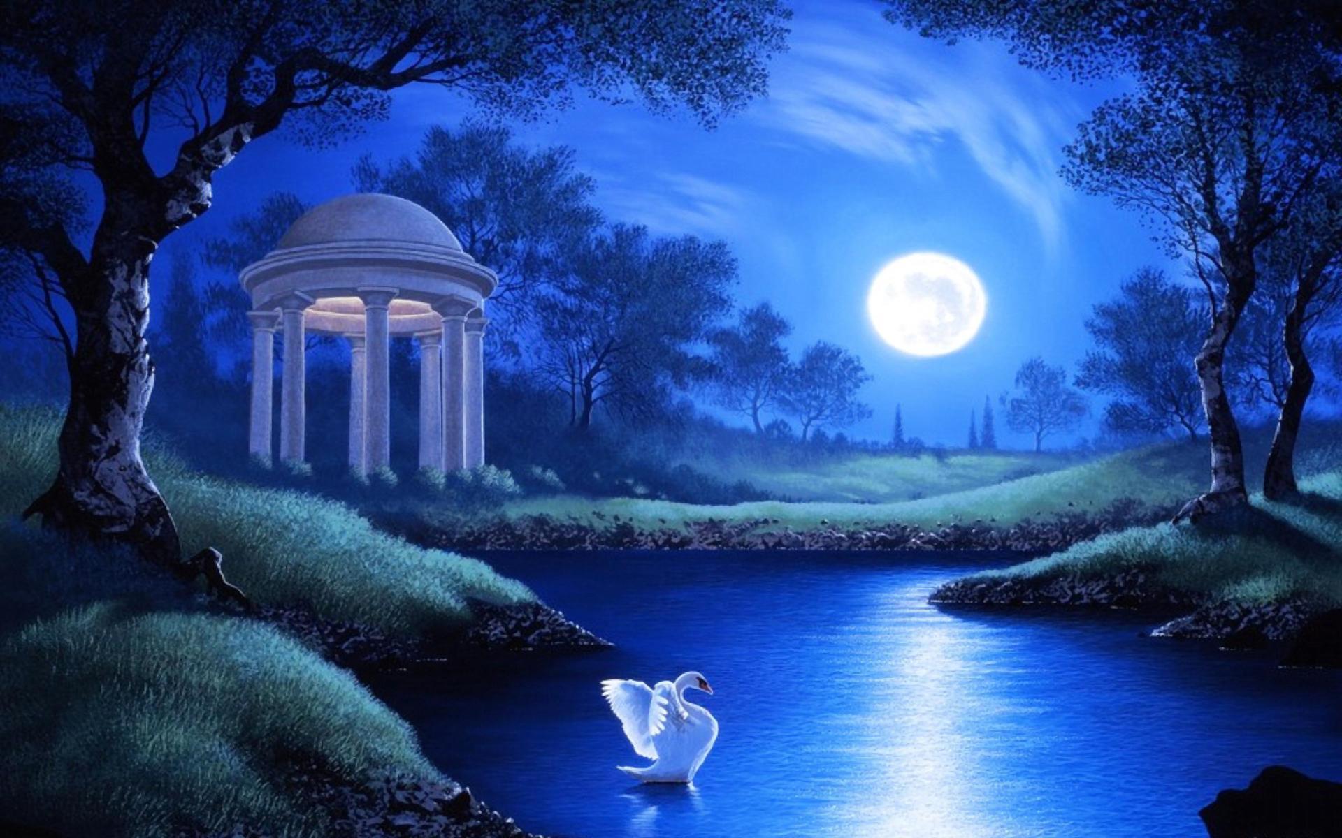 Swan in Garden Lake on Full Moon Night HD Wallpaper. Background