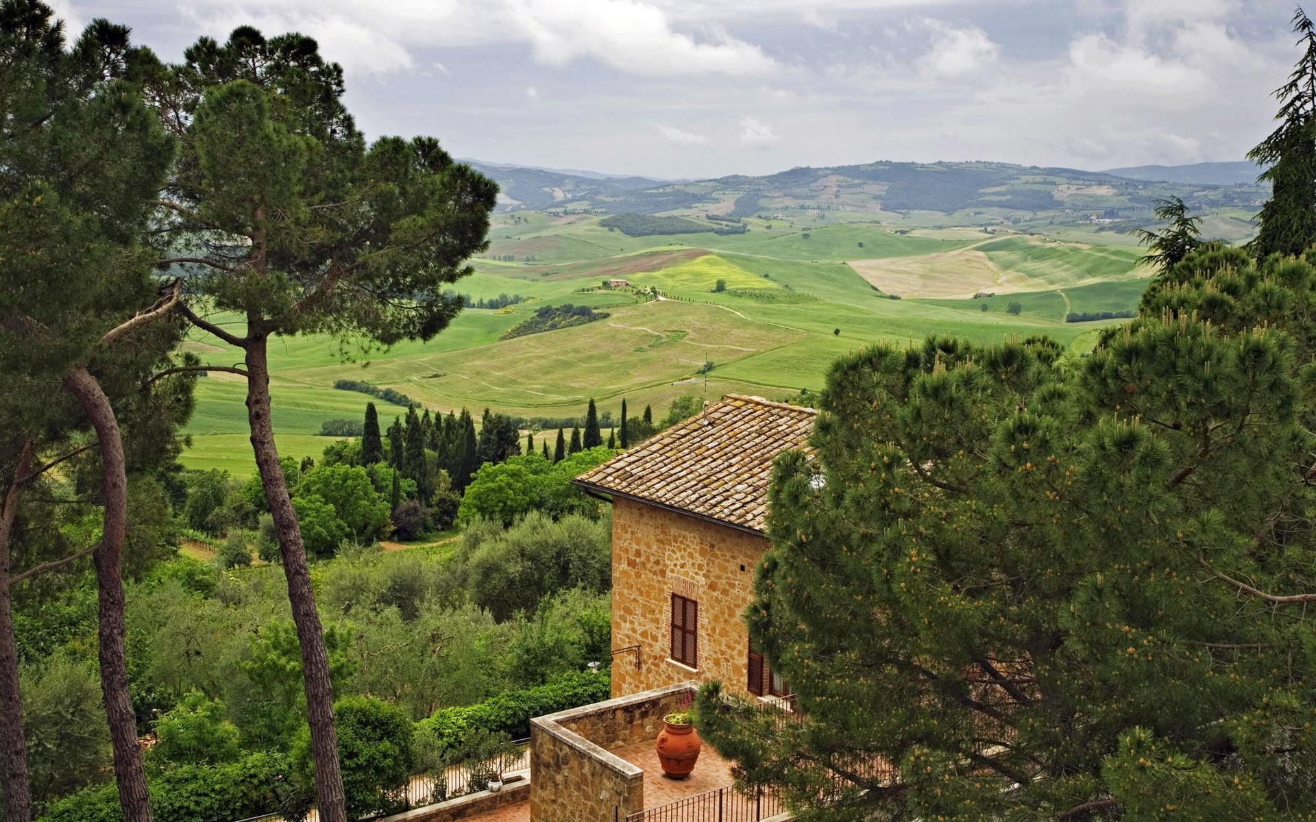 plants trees landscape tuscany italy wallpaper